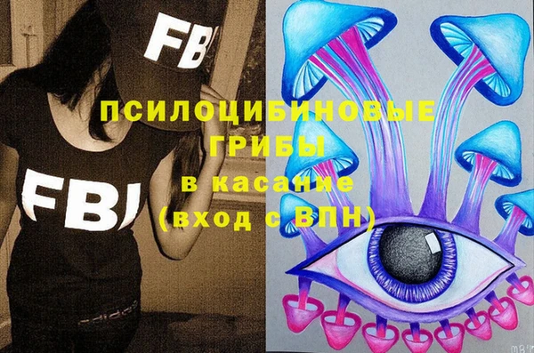трава Осинники