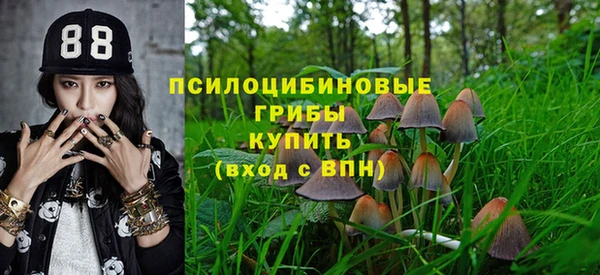трава Осинники